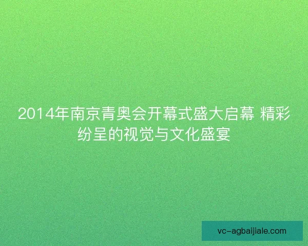 2014年南京青奥会开幕式盛大启幕 精彩纷呈的视觉与文化盛宴