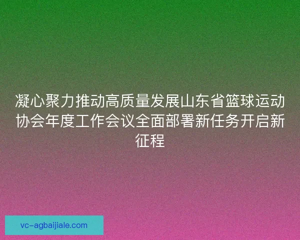 凝心聚力推动高质量发展山东省篮球运动协会年度工作会议全面部署新任务开启新征程